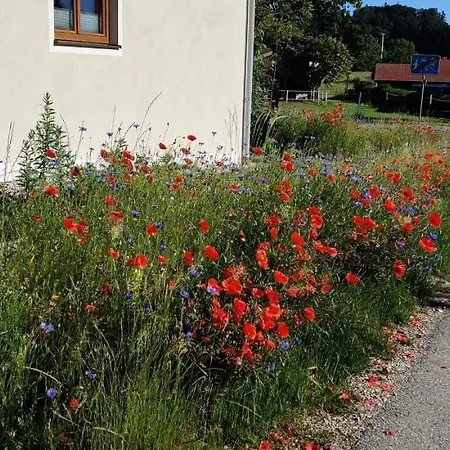 Ponlach * Tittmoning