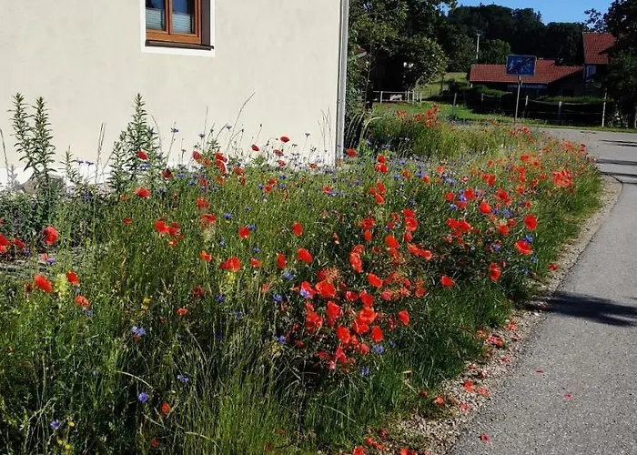 Ponlach * Tittmoning